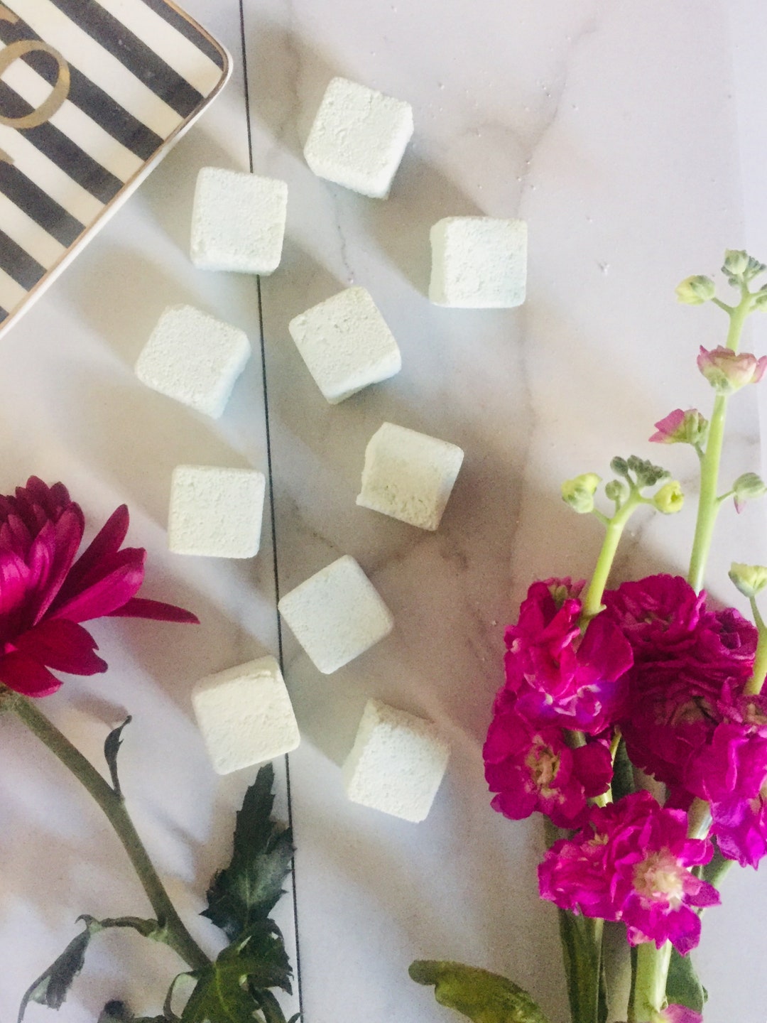 Eucalyptus Mint Shower Steamers Etsy