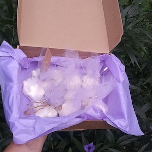 Sample box| candle| wax melt| surprise| 8 ounce| soy wax| Natural|