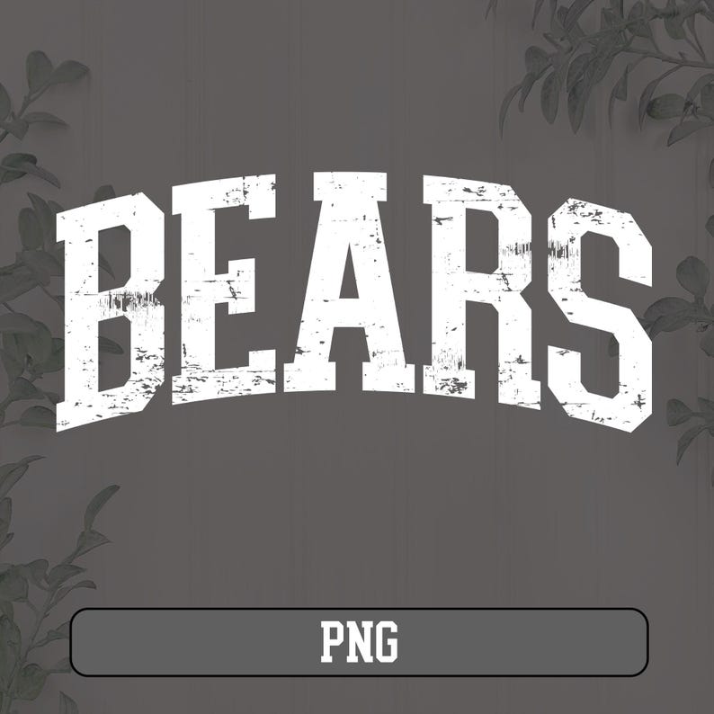 May include: White distressed text on a gray background that reads "BEARS".