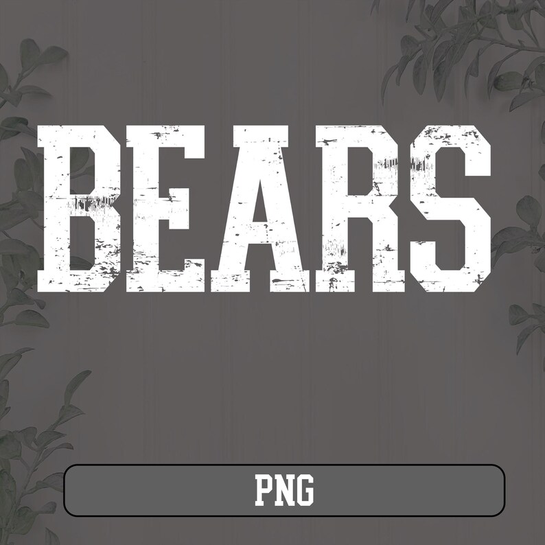 May include: White distressed text on a gray background that reads "BEARS".