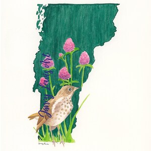 Vermont State Bird and Flower Watercolor Fine Art Print/Hermit Thrush and Red Clover /Christmas gift/ Housewarming/ Travel Art/ Dorm decor
