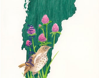 Vermont State Bird and Flower Watercolor Art Print