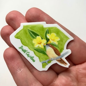 South Carolina State Bird and Flower Sticker/ Carolina Wren and Yellow Jasmine Sticker/ Laptop sticker/ Travel sticker