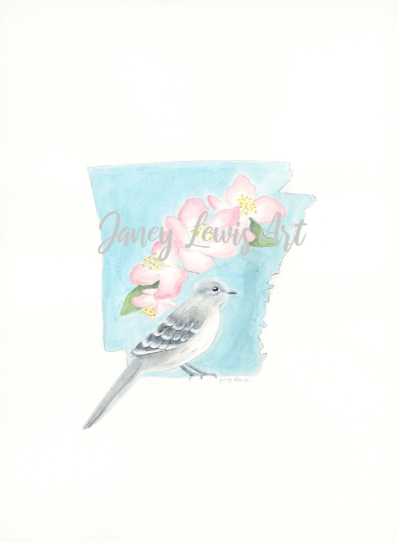 Arkansas State Bird and Flower Watercolor Print, Mockingbird and Apple