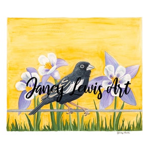 Colorado State Bird and Flower Watercolor Fine Art Print/ Lark Bunting and Colorado Blue Columbine/Christmas gift/ Housewarming/ Travel Art