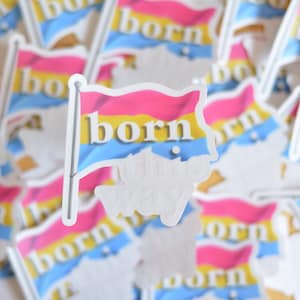 Pansexual Pride Flag Clear Vinyl Sticker