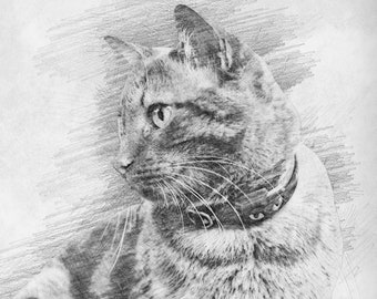 Custom Pet Portrait Sketch From Photo - Custom Pencil Drawing Dog Photo - Cat Drawing From Photo - Digital Art File Only