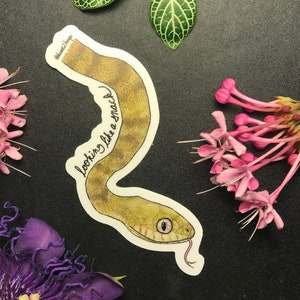 Brun trädorm som ser ut som ett mellanmålsklistermärke