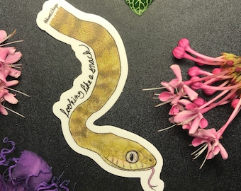 Naklejka z brązowym wężem drzewnym wyglądającym jak przekąska