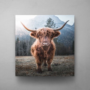 Scottish Brown Cow, Rustic Wall Decor, Cow Print, Western Home Decor, Canvas Wall Art, Large Canvas, Printable Wall Art, Housewarming Gifts
