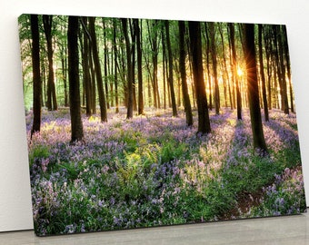 Path Through Bluebell Woods | Beauty Of Nature | Forest Canvas Wall Art | Landscape Painting | Home Decor | Garden Decor | Housewarming Gift