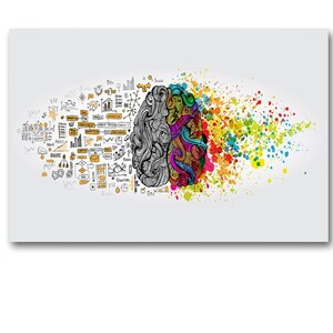 Creative Brain Anatomy Art Print, Medical School Poster