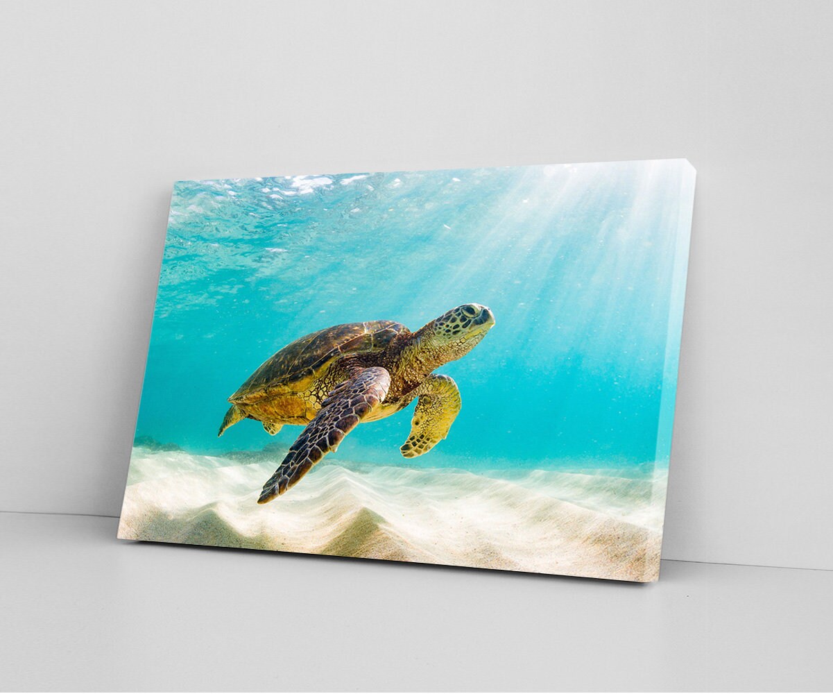 SEA TURTLE ART Turtle Home Decor Handmade Home Decor Ocean Etsy