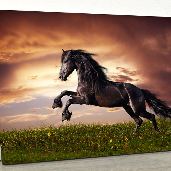 Black Friesian Horse Gallop | Pictures Of A Horse Galloping | Horse Prints | Birthday Gifts | Animal Lover | Horse Gifts | Jump |