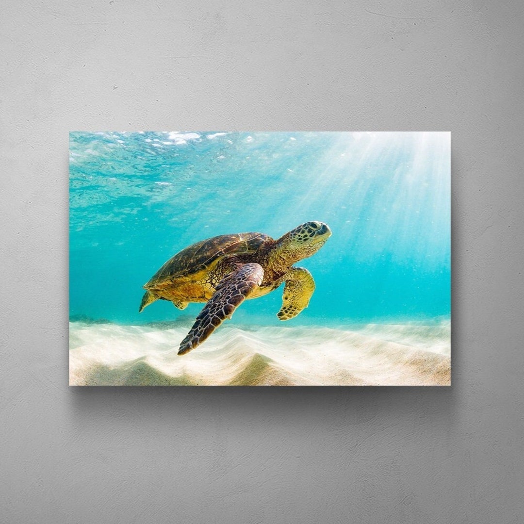 SEA TURTLE ART, Turtle Home Decor, Handmade Home Decor, Ocean Art, Room Decor Aesthetic, Canvas