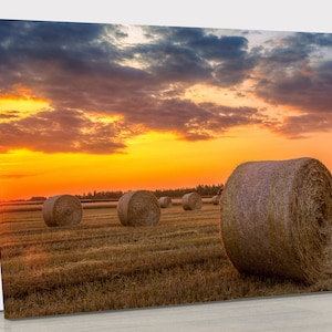 May include: A field of golden hay bales at sunset. The sky is a mix of orange, pink, and purple with fluffy white clouds. The hay bales are round and brown.