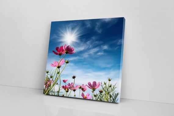 Cosmos Flowers Under The Sky | Painting On Canvas  | Portrait Canvas | Nature Prints | Birthday Gifts | Portrait Canvas Art | Flowers Image