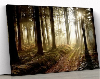 Forest Path At Sunset | Beauty Of Nature | Forest Wall Art | Landscape | Beautiful Scene | Misty Art | Pictures Of Sun Sets  | Fall Sunset |