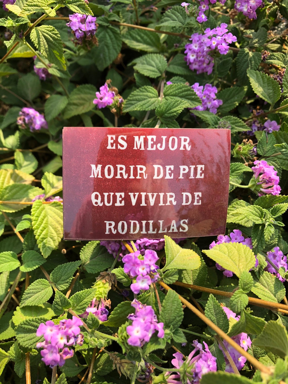 Es Mejor Morir De Pie Que Vivir De Rodillas Vinyl sticker Etsy