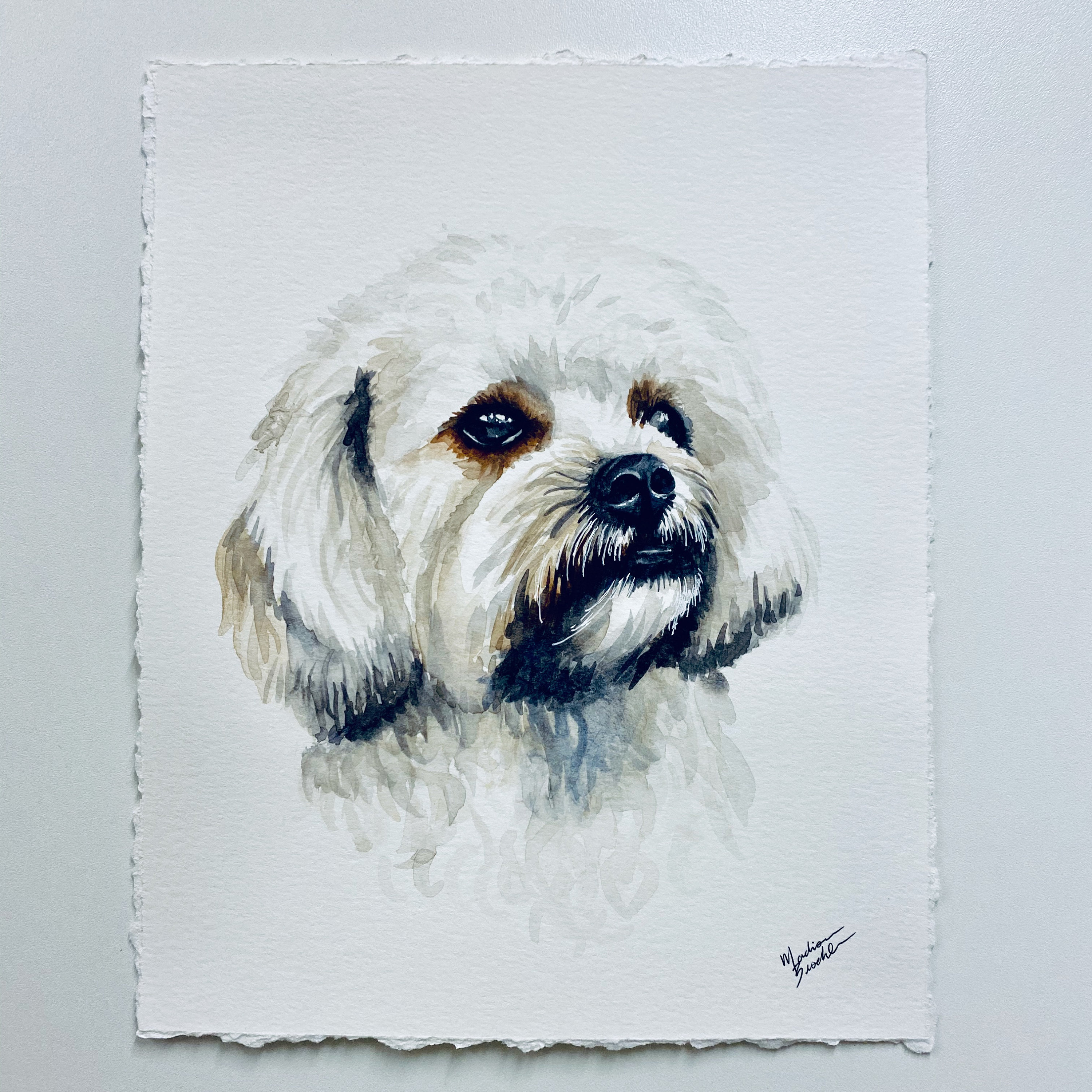 Custom Watercolor Pet Portrait | Etsy