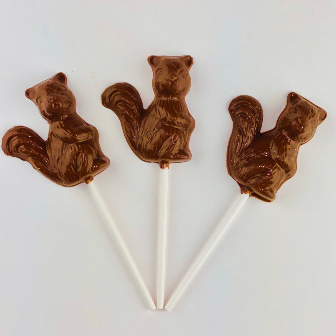 12 Chocolate Squirrel Lollipops Etsy