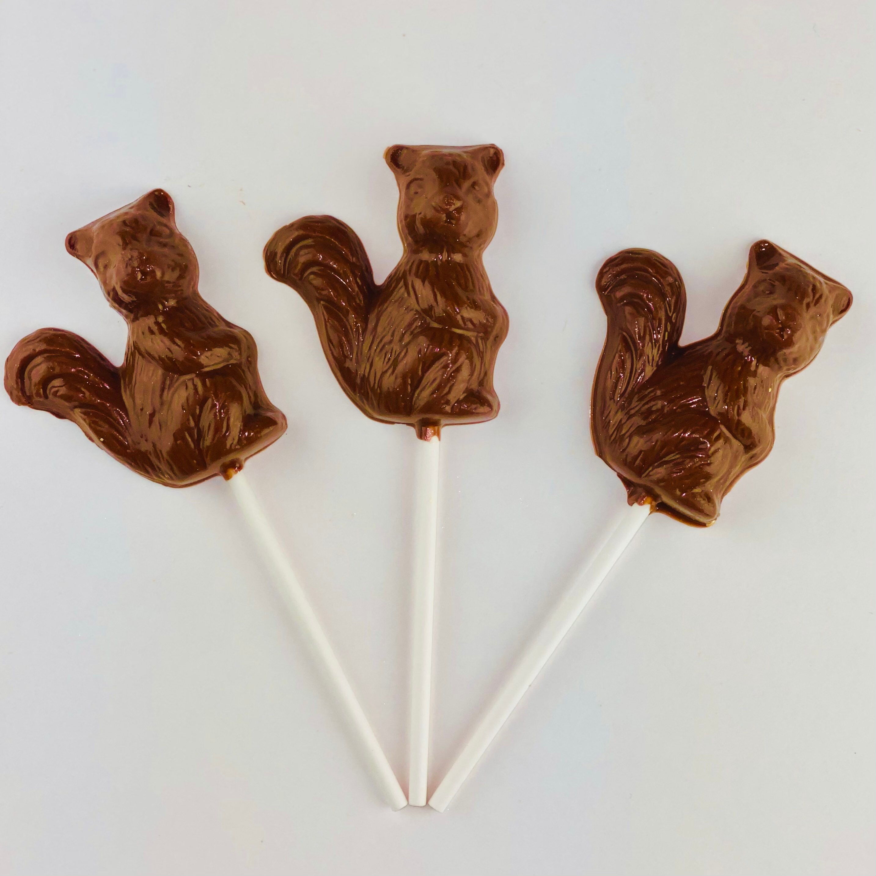 12 Chocolate Squirrel Lollipops Etsy