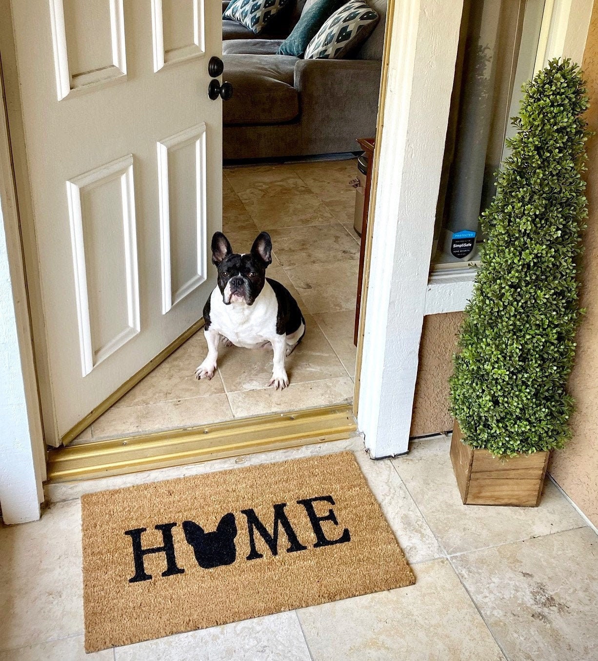 Frenchie HOME Door Mat French Bulldog Doormat Outdoor Etsy