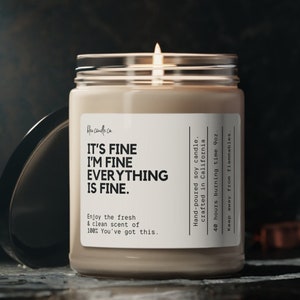 I&#39;m fine it&#39;s fine everything is fine Funny Candle Anxiety Gift Gifts For Her Funny Gifts Funny Candles Best Friend Birthday gift for her