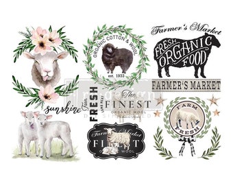 SWEET LAMB - 3 sheet 6"x12" Decor Transfer  | ReDesign with Prima! Lemon Transfer | Furniture Transfer | Rub-On Transfer | Sheep Decor