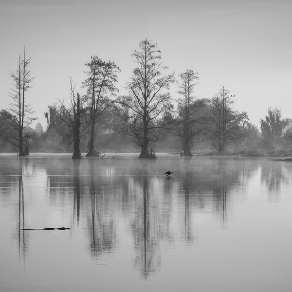 Black and White Florida Morning Digital Download, Florida Wildlife Photograph, Coastal Marsh Landscape Photograph, Sunrise, Foggy Morning