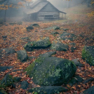 Può includere: Un rustico cottage di legno immerso in un'ambientazione boschiva nebbiosa. La capanna ha un tetto a due falde e un portico con ringhiere in legno. Il terreno è ricoperto di foglie cadute e grandi rocce.