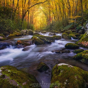 Great Smokey Mountain National Park Autumn Tunnel Digital Download, Rustic Decor, Farmhouse Decor, Tennessee Woods, Autumn Scenic Landscape