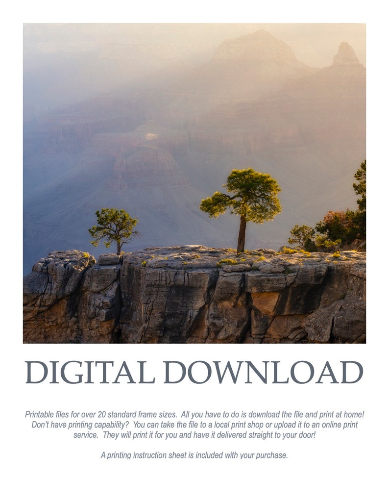 Lonely Pines in the Grand Canyon Digital Download