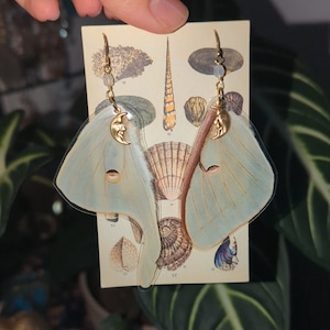 Luna Moth Earrings, Asymmetrical Wing Earrings, Unique Butterfly Moth Earrings