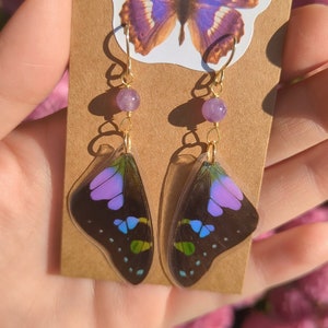 Purple Graphium Weiskei Butterfly Earrings, Real Butterfly Earrings, Butterfly Wing Earrings