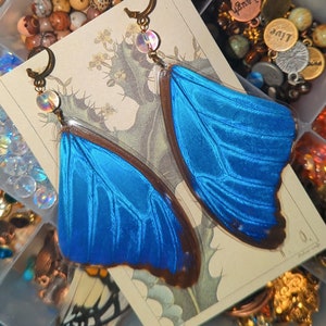 Blue Morpho Butterfly Wing Earrings, Real Butterfly Wing Earrings