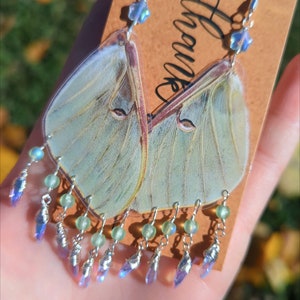 Luna Moth Earrings, Real Luna Moth Dangles, Moon Earrings, Vintage Gems
