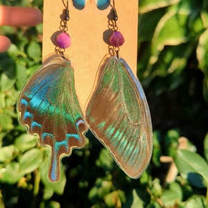 Peacock Swallowtail Butterfly Earrings, Rela Butterfly Wing Earrings