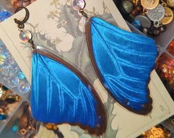 Blue Morpho Butterfly Wing Earrings, Real Butterfly Wing Earrings, Large Statement Earrings