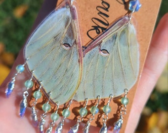 Luna Moth Earrings, Real Luna Moth Dangles, Moon Earrings, Vintage Gems