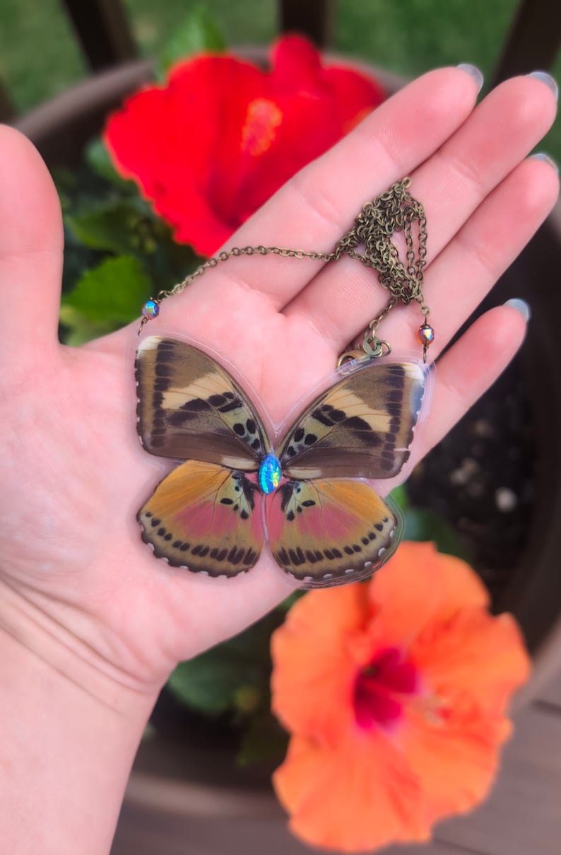 Pink Forester Butterfly Wing Necklace Real Butterfly Wing Jewelry Etsy pink-forester-butterfly-wing-necklace-real-butterfly-wing-jewelry-etsy