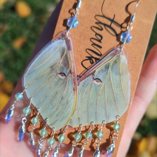Boucles d’oreilles Luna Moth, Real Luna Moth Dangles, Boucles d’oreilles Moon, Gemmes vintage