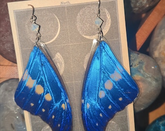 May include: Earrings featuring blue butterfly wings, suspended from silver hooks with small, pale blue beads. The earrings are set against a vintage print with celestial designs. The wings display a vivid blue hue with yellow and white markings.