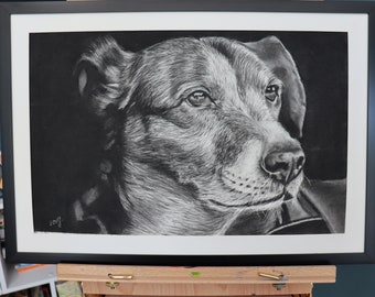 May include: A black and white charcoal drawing of a dog's head and shoulders. The dog is looking to the right of the frame with a gentle expression. The drawing is framed in a black frame.