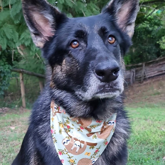 Dog Bandana, Sloth Pattern, Cotton Dog Bandanna, Pet Bandanna, Dog Scarf, Collar Bandana