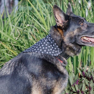 Bandana Doggy Print, Pet Bandanna, Cotton Dog Bandannas, Dog Scarf, Collar Bandana