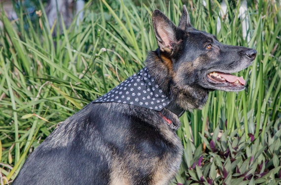 Bandana Doggy Print, Pet Bandanna, Cotton Dog Bandannas, Dog Scarf, Collar Bandana