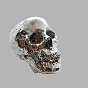 Silver human skull "skullture culture"  two piece skull figure skull gothic decor