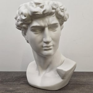 May include: A white sculpture of a man's head and shoulders, featuring detailed facial features and curly hair. The bust is in a classical style, set against a neutral background. It rests on a dark wooden surface.