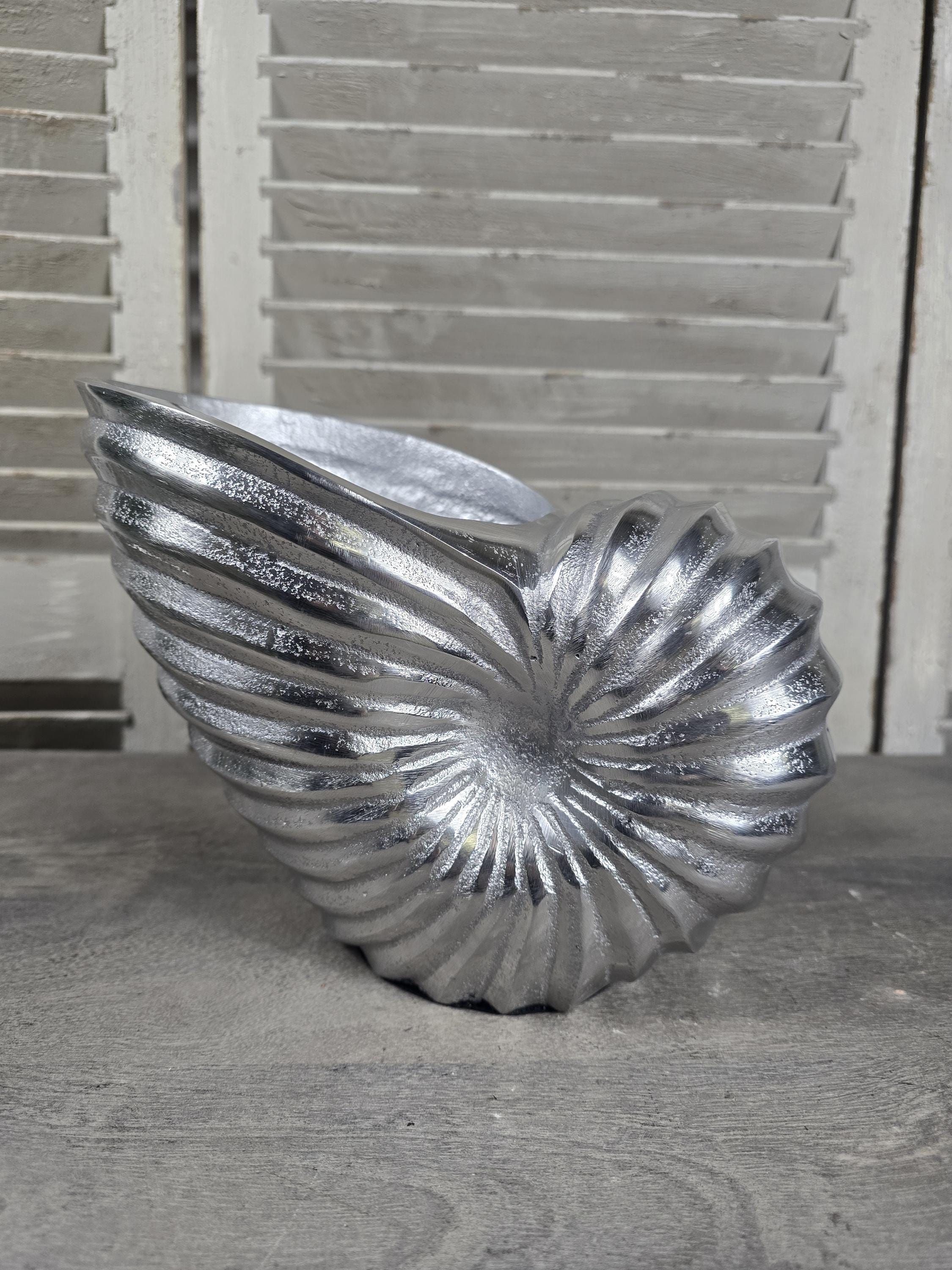 Nautilus Shell Wine Cooler, Polished Aluminum Ice Bucket - Etsy